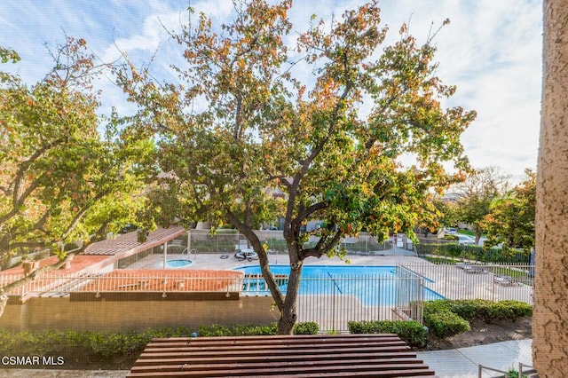 view of pool featuring a patio area