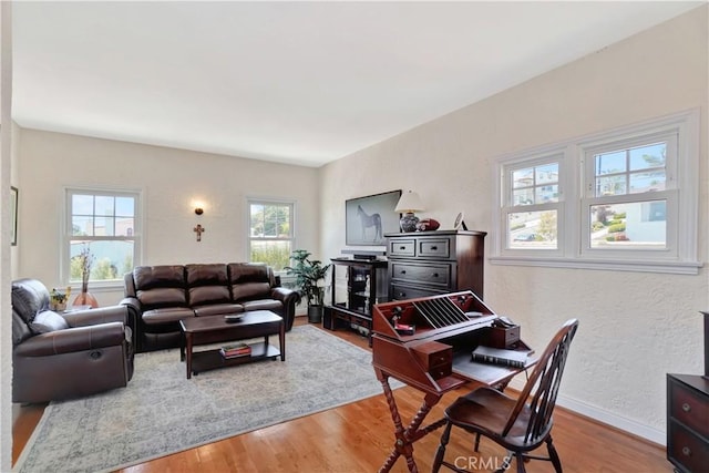 living room featuring wood-type flooring