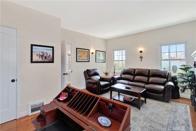 living room featuring plenty of natural light and hardwood / wood-style floors