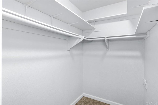 spacious closet with carpet floors