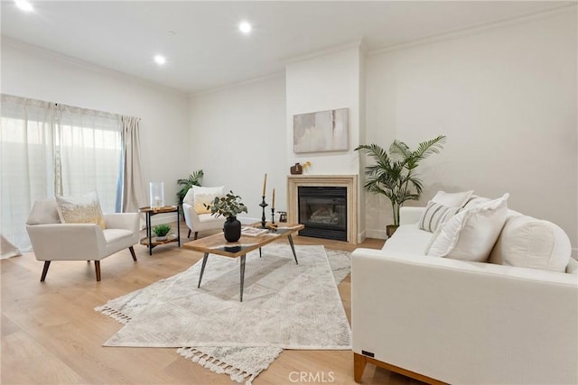 living room with crown molding and light hardwood / wood-style flooring