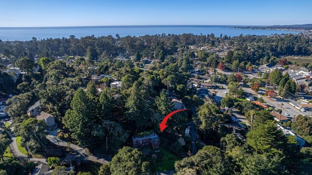 drone / aerial view with a water view