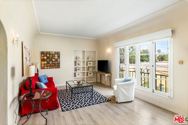 living room featuring hardwood / wood-style flooring and built in features