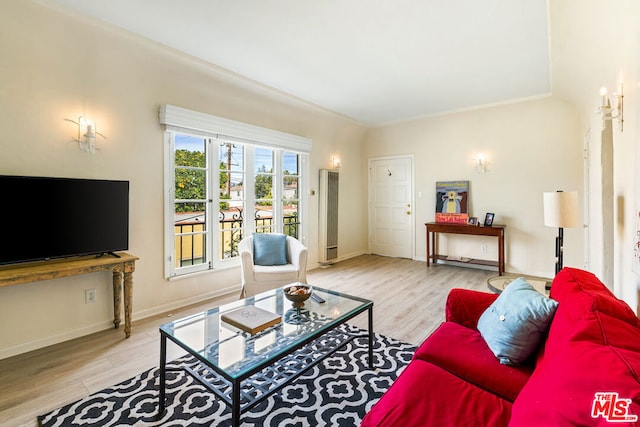 living room featuring light hardwood / wood-style floors