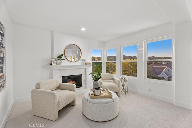 living area featuring light carpet