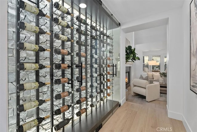 wine room with light wood-type flooring