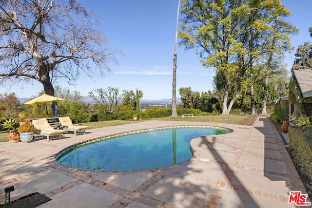 view of pool with a patio area