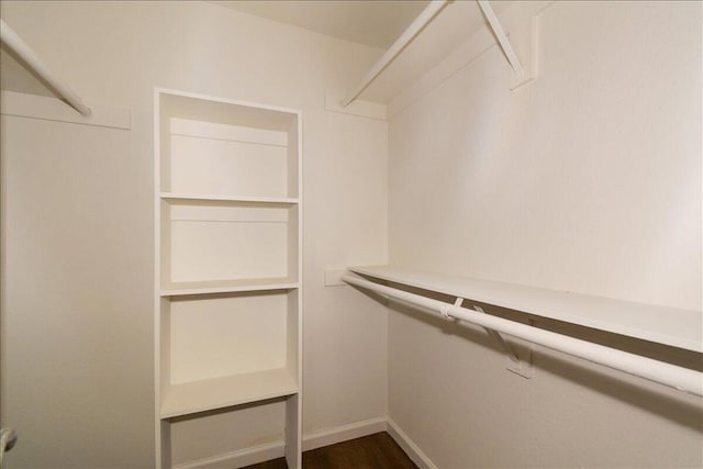 spacious closet with dark hardwood / wood-style flooring