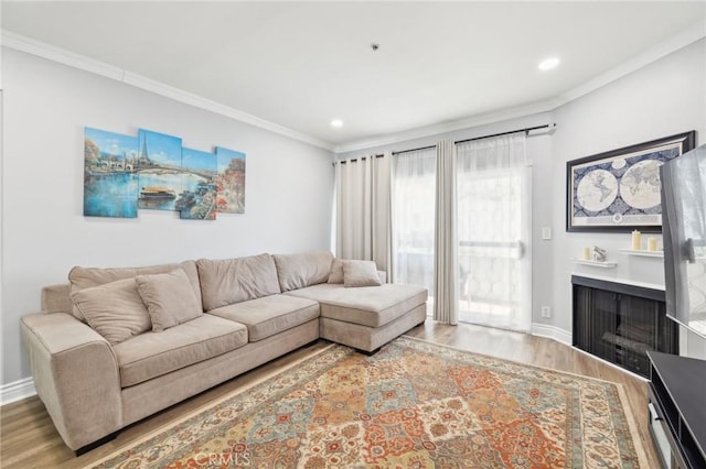 living room with ornamental molding and light hardwood / wood-style flooring