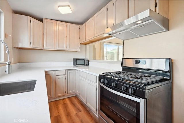 kitchen with sink, light hardwood / wood-style flooring, range hood, and stainless steel appliances