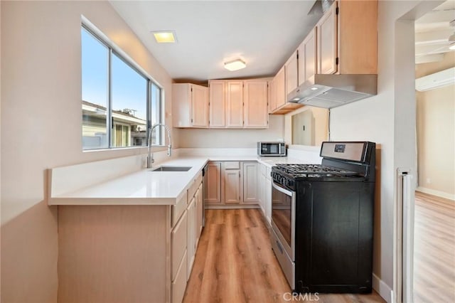 kitchen featuring appliances with stainless steel finishes, sink, exhaust hood, and light brown cabinets