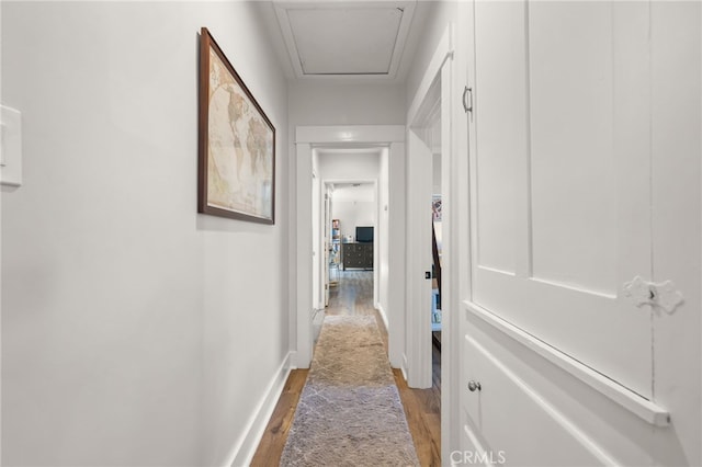 hallway with wood-type flooring