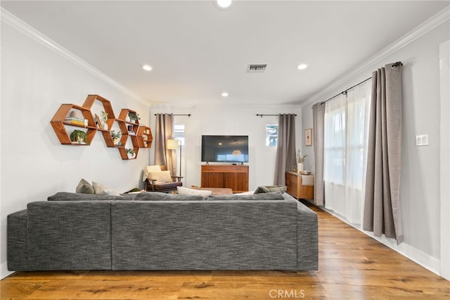 living room with crown molding and wood-type flooring