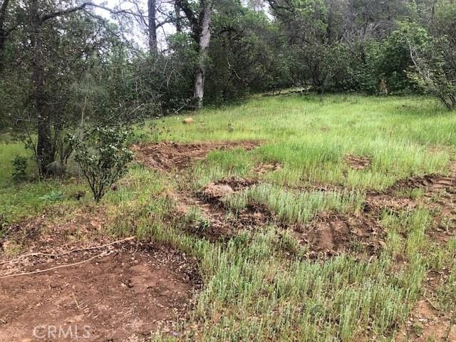 14515 Big Canyon Rd, Middletown CA, 95457 land for sale