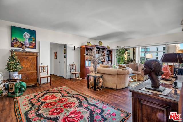 living room featuring wood-type flooring