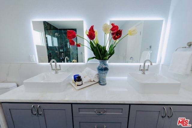 bathroom with vanity, toilet, and walk in shower