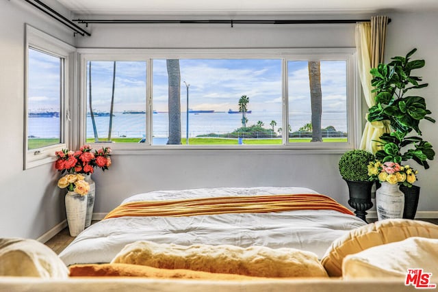 bedroom featuring a water view and multiple windows