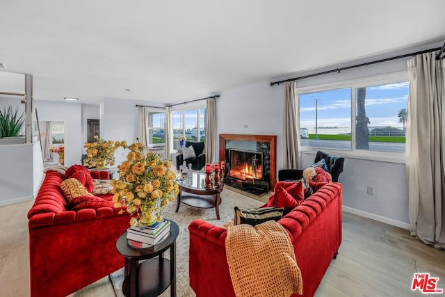 living room featuring light hardwood / wood-style floors and a premium fireplace