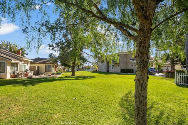 view of yard featuring a patio