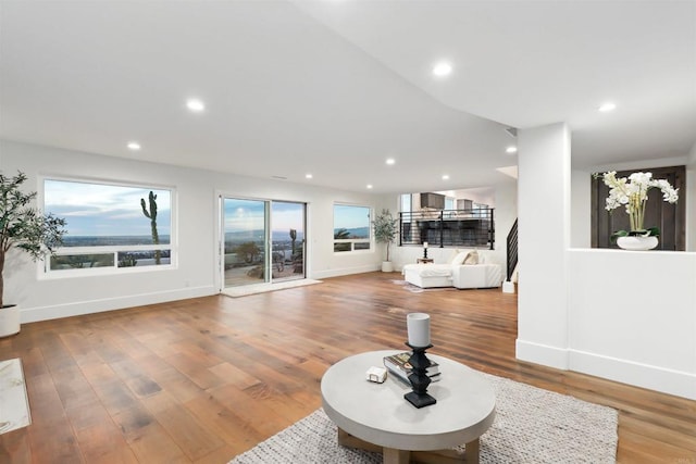 living room with hardwood / wood-style flooring