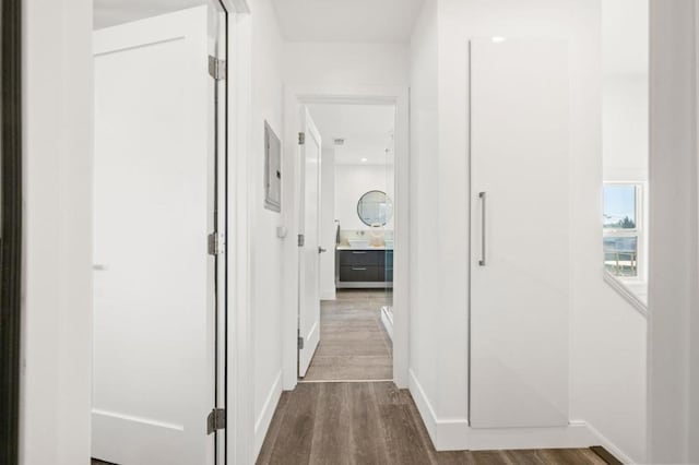 hallway with dark wood-type flooring