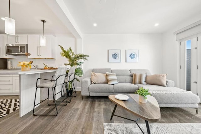 living room featuring dark wood-type flooring