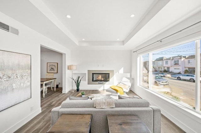 living room with hardwood / wood-style flooring and a raised ceiling