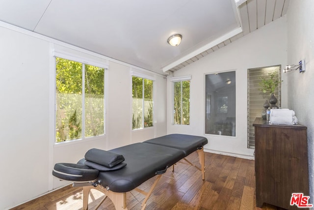 exercise area featuring lofted ceiling and dark hardwood / wood-style flooring