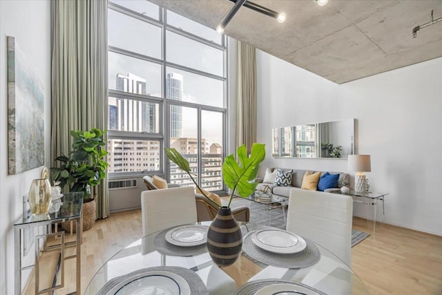 living area featuring light hardwood / wood-style floors and a wall of windows