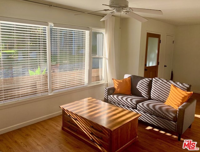 living room featuring ceiling fan and wood-type flooring