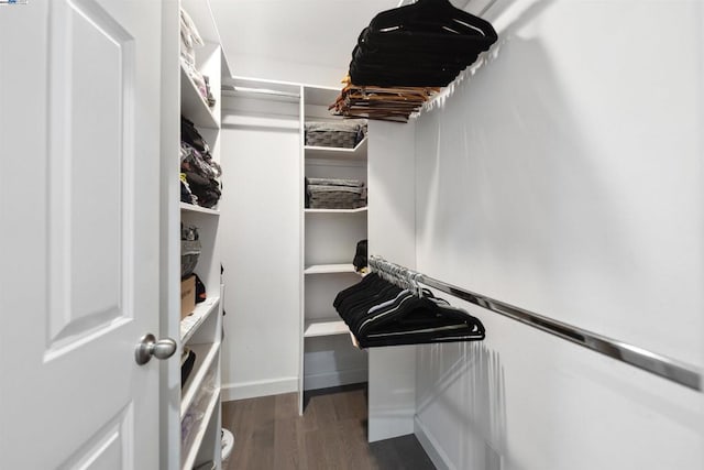 walk in closet featuring dark hardwood / wood-style flooring