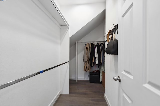 walk in closet with dark wood-type flooring