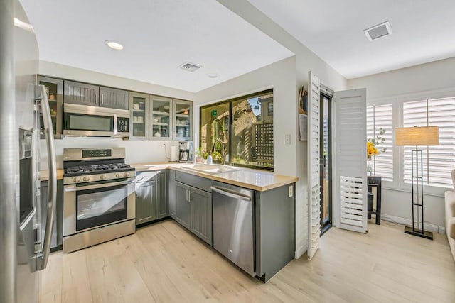 kitchen with light hardwood / wood-style floors, appliances with stainless steel finishes, gray cabinets, and sink