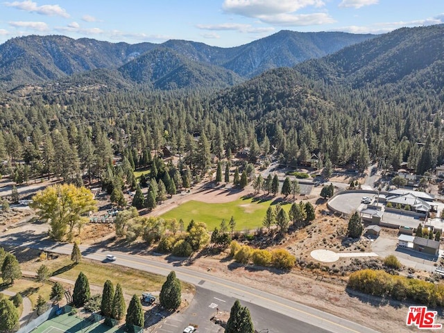 bird's eye view featuring a mountain view