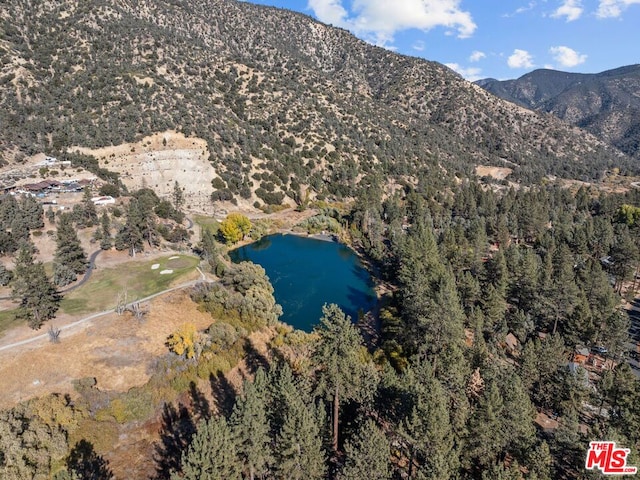 mountain view featuring a water view