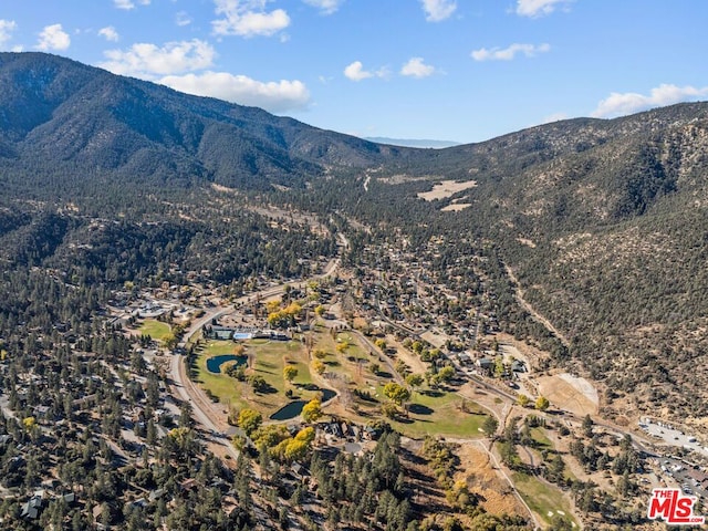 view of mountain feature