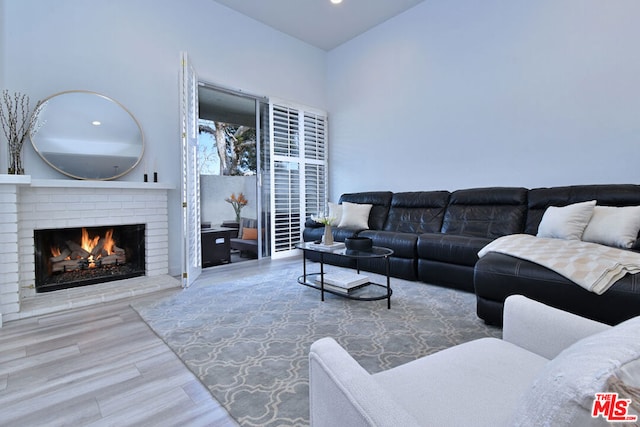 living room with a fireplace and wood-type flooring