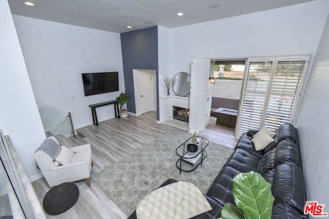 living room featuring hardwood / wood-style floors