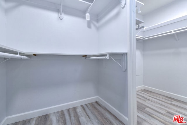 walk in closet featuring light hardwood / wood-style floors