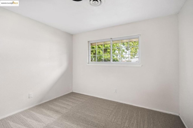 empty room featuring carpet floors