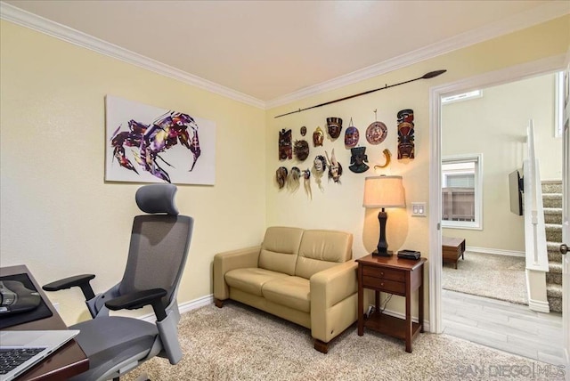 office space with crown molding and carpet