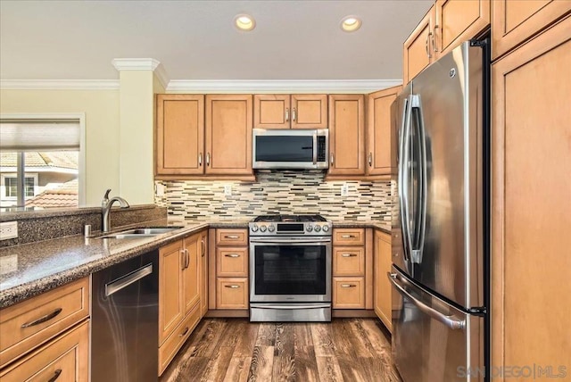 kitchen featuring dark wood-type flooring, sink, ornamental molding, appliances with stainless steel finishes, and decorative backsplash