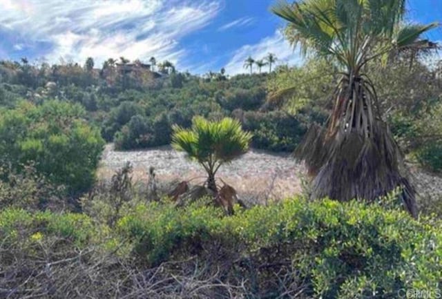 0 Otay Lakes Rd, Chula Vista CA, 91911 land for sale