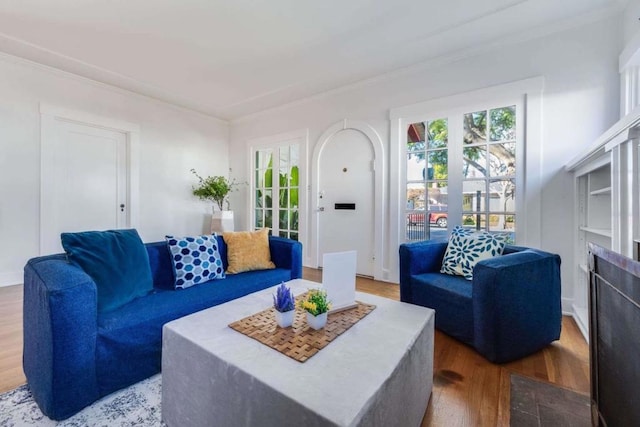 living room featuring crown molding and hardwood / wood-style floors