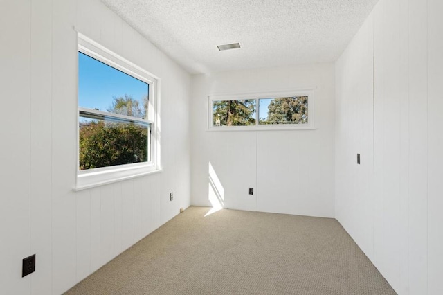 carpeted spare room featuring wooden walls