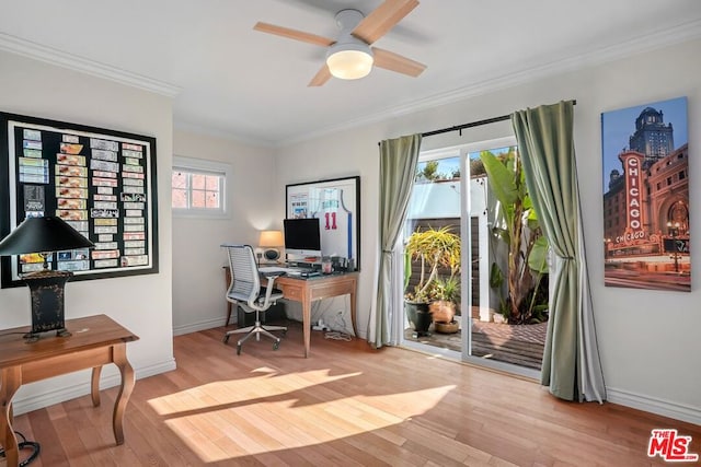 home office with crown molding, a wealth of natural light, ceiling fan, and light wood-type flooring