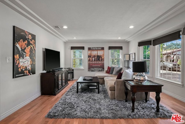 living room featuring a healthy amount of sunlight and light wood-type flooring