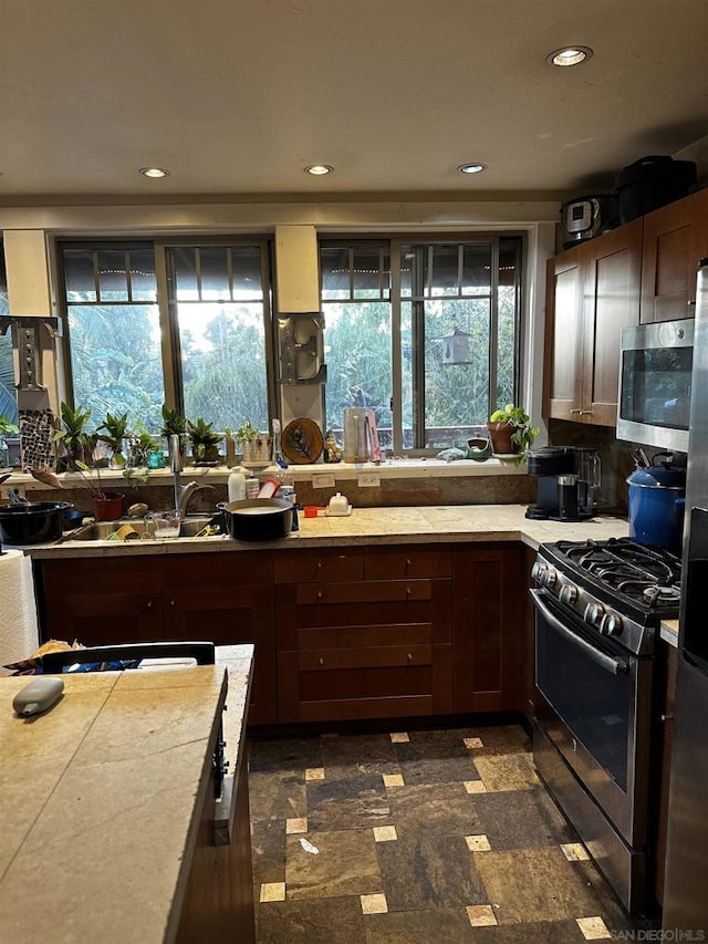 kitchen featuring dark brown cabinetry, appliances with stainless steel finishes, and plenty of natural light