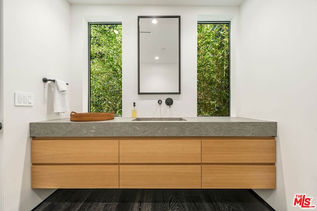 bathroom featuring vanity and a wealth of natural light