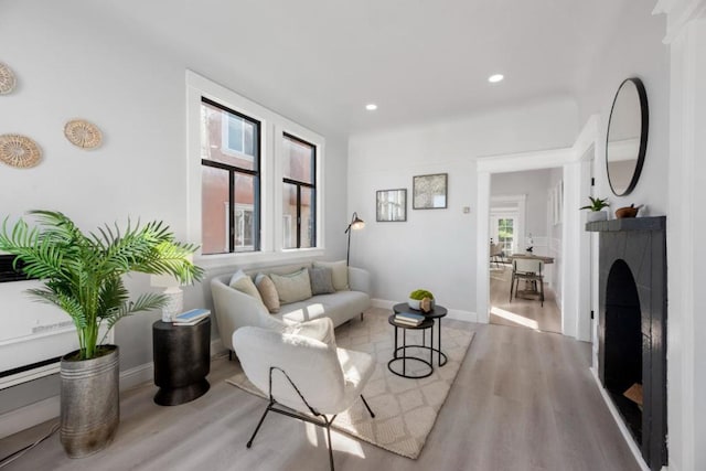 living room with light hardwood / wood-style floors